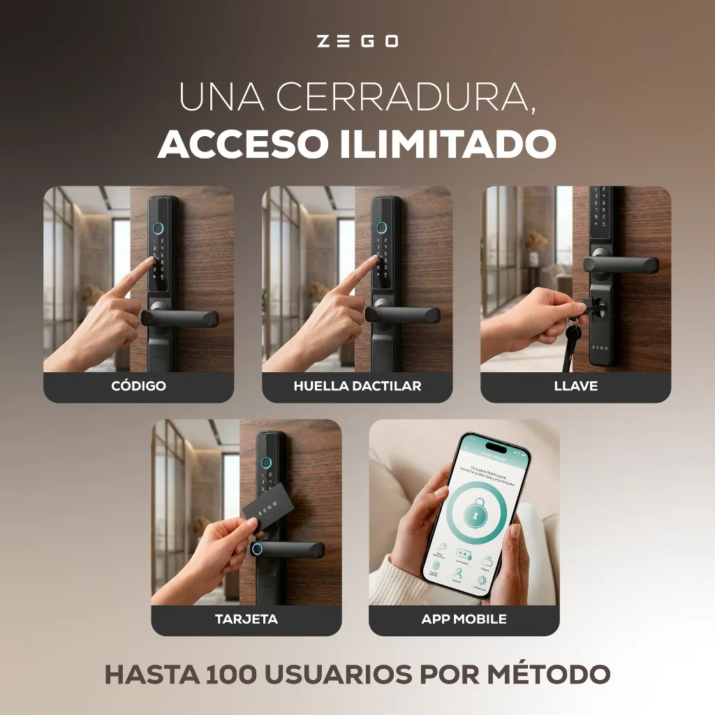 ZEGO0302_Placa02 (4).webp