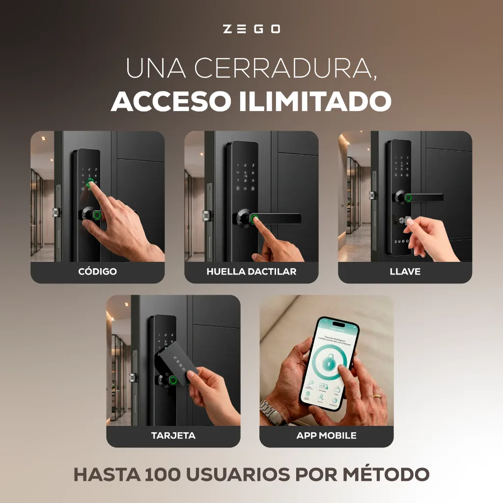 ZEGO0306_Placa02 (2).webp