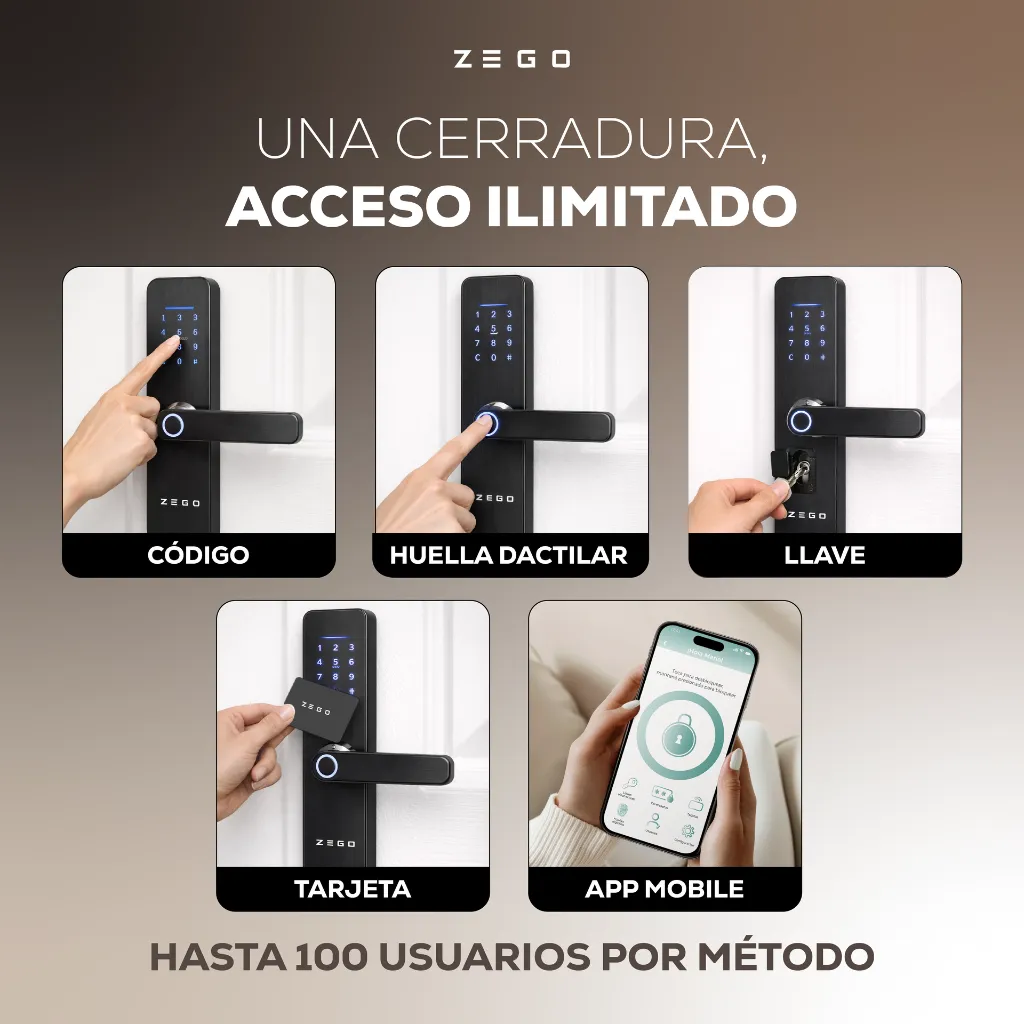 ZEGO0301_Placa02 (1).webp