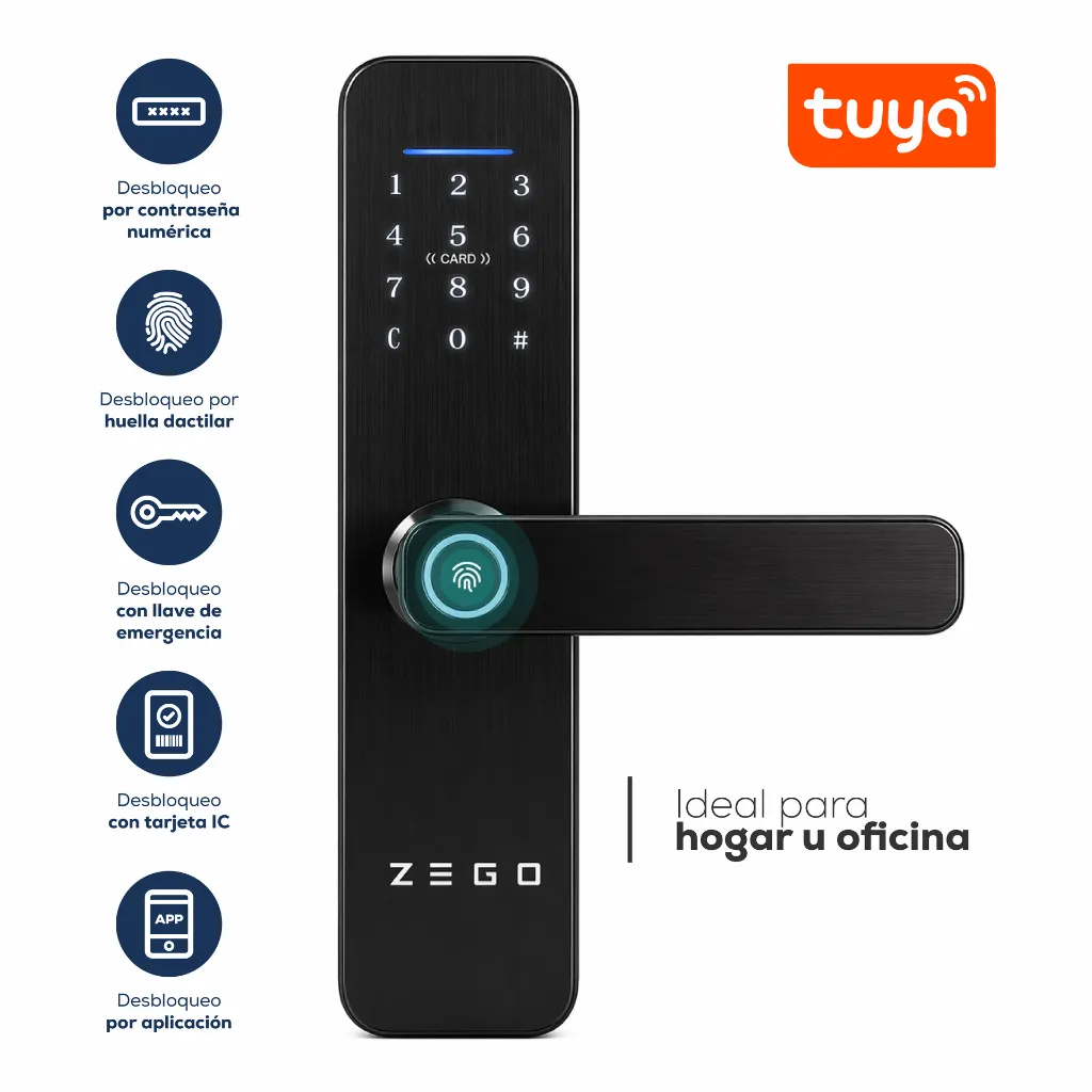 ZEGO0301_Placa01 (1).webp