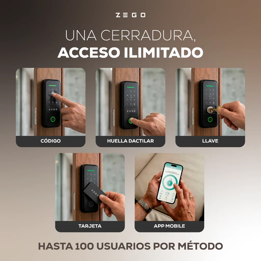 ZEGO0303_Placa02 (1).webp