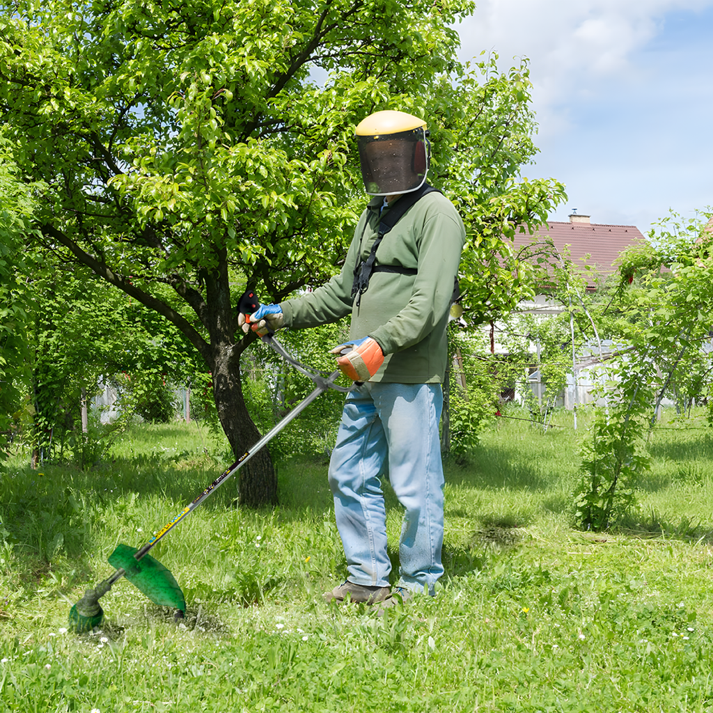 DESMALEZADORA 52CC BXDM-52