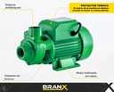 BOMBA PERIFERICA BP60E