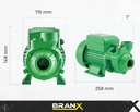 BOMBA PERIFERICA BP60E