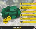 BOMBA PERIFERICA BP60E