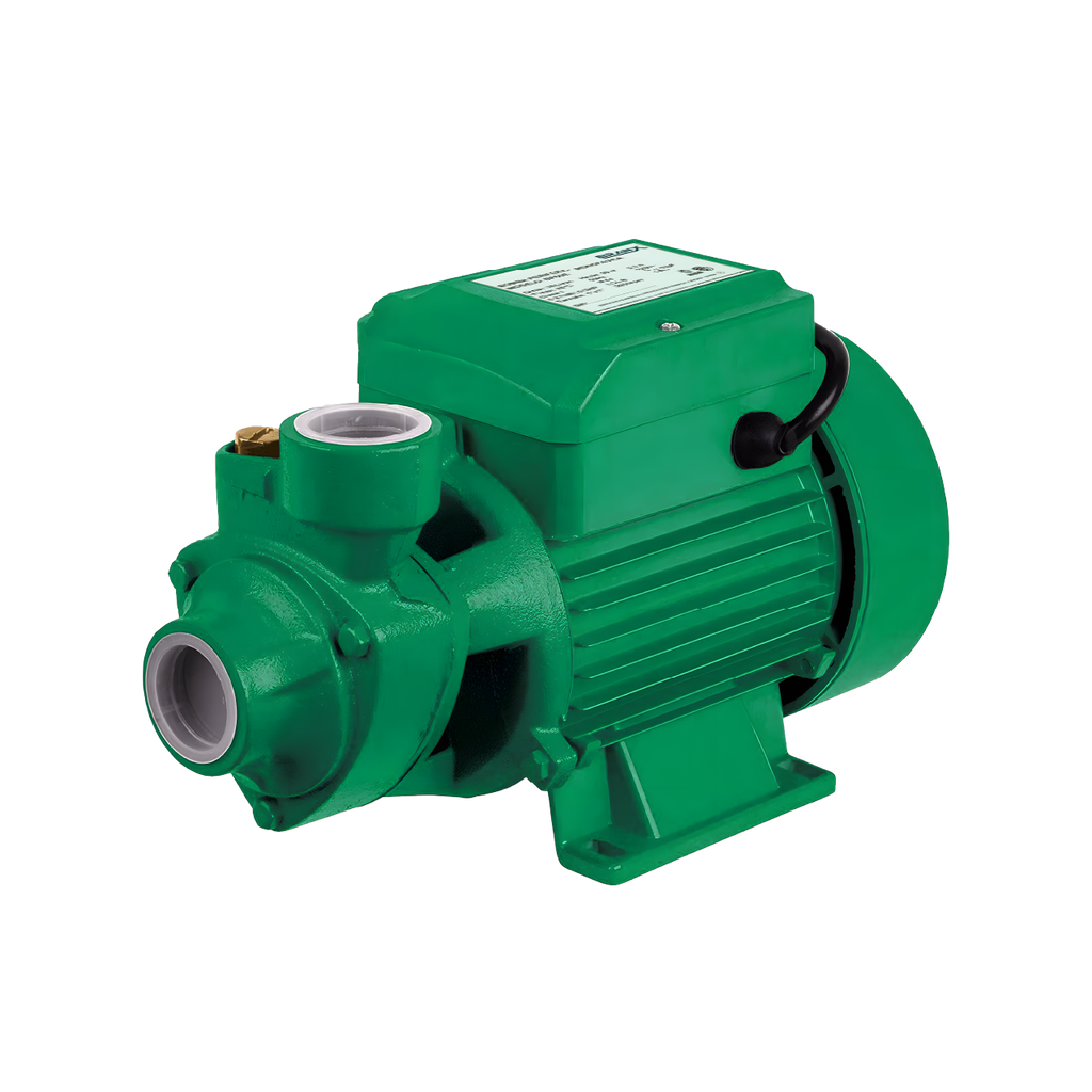 BOMBA PERIFERICA BP60E